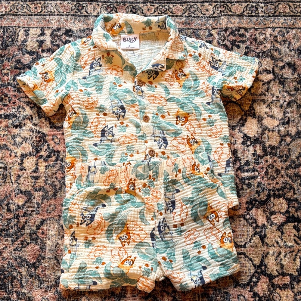 Bluey 3T Cotton Set